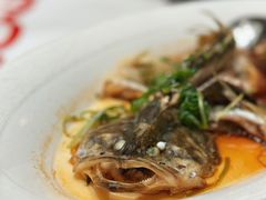 -同庆楼(奥体中心店)