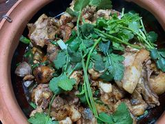 招牌土鸡煲-华仔土鸡店(南洲分店)