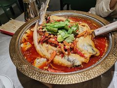 -肥家大排档(天河体育西店)
