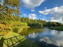 -黄海国家森林公园