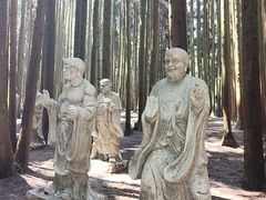 -武陵山森林公园