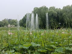-东升八家郊野公园