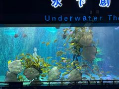 -泉城欧乐堡海洋极地世界