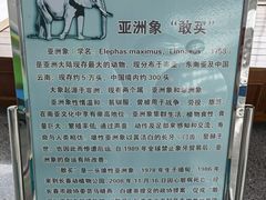 -吉林省自然博物馆