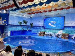 -多彩贵州城极地海洋世界