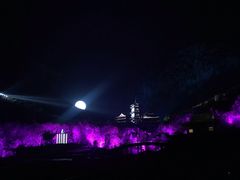 -禅宗少林·音乐大典