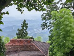 -莫干山风景区