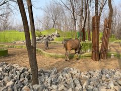 -北京野生动物园