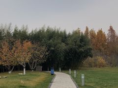 -春晖园度假酒店温泉