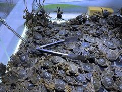 -聚盛源蒸汽海鲜火锅烤肉自助(巨川金海岸购物广场店)