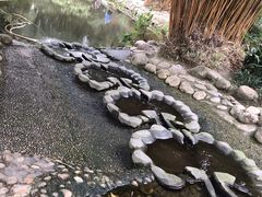 -成都市活水公园