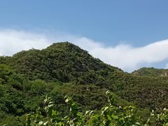 -大岭沟猕猴桃谷风景区