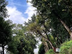 -重庆平顶山公园
