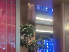 -老家水饺濮阳菜(巴黎街店)