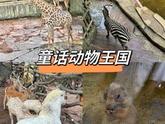 -长鹿旅游休博园