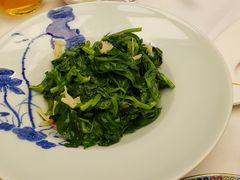 -肆月河豚·新淮扬(金融街店)