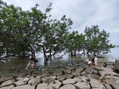 -宝安西湾红树林湿地公园