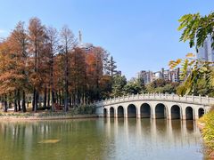 -四海公园(南山区)