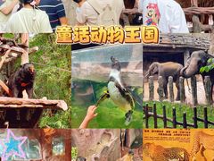-长鹿旅游休博园