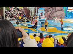 -海合安成都极地海洋公园
