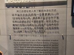 -北京周口店北京人遗址博物馆