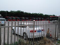 -石家庄市植物园
