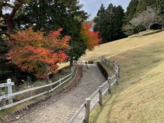 -神户市立六甲山牧场