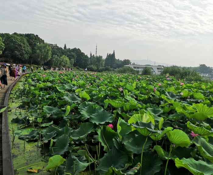 管社山庄公园