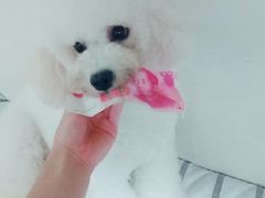 -沐沐家宠物(成寿寺店)