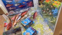 -莫莉幻想儿童乐园(沈阳龙之梦大都汇店)