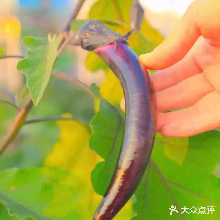 春天必不可少的带宝宝去春游，想好去哪里来吗？