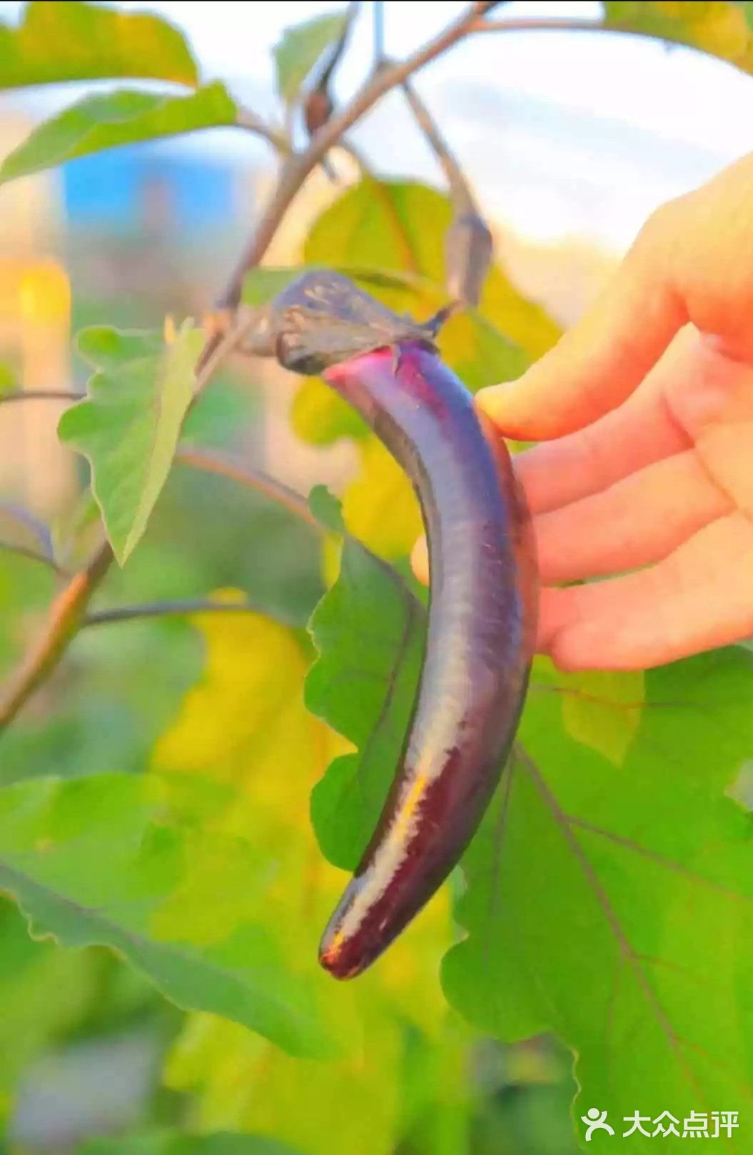 春天必不可少的带宝宝去春游，想好去哪里来吗？