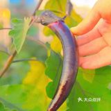 春天必不可少的带宝宝去春游，想好去哪里来吗？