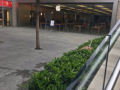 -Apple零售店(深圳益田假日广场店)