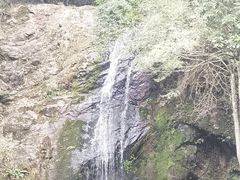 -江西阳明山国家森林公园