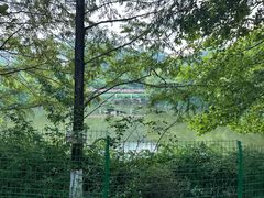 -重庆医科大学附属第一医院(金山院区)