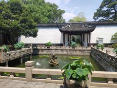-上海醉白池公园