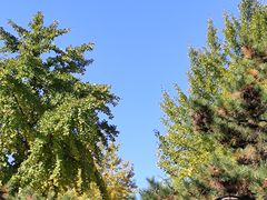 -社区便民服务餐厅(彰化南路店)