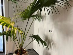 -自如ZSPACE四合院艺术餐厅