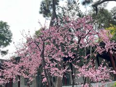 -秋霞圃