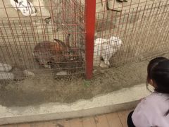 -国色天乡三期陆地乐园