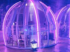 -南门四季铜锅涮肉(大屯·北苑店)