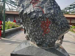 -神州牡丹园
