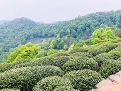 -西湖风景区十里琅珰-五云山