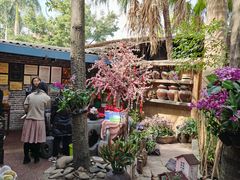 -园林美食城·本土农家菜(杨和镇店)