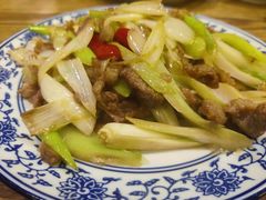 -西北狼(GOGO新天地店)