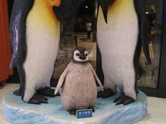 -帝企鹅自助餐厅•儿童岛•真企鹅(长隆企鹅酒店)