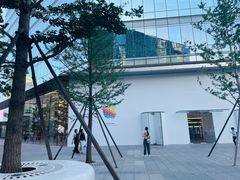 -Apple零售店(华贸购物中心店)