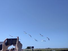 -黑龙江扎龙生态旅游区