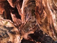 -宾朋海鲜特色美食餐厅·纯手工鲅鱼水饺(兴海路店)